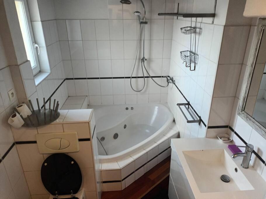 Appartement Le Schauenberg à Colmar Extérieur photo